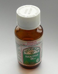 eucalyptus-oil